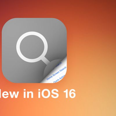 iOS Search Guide Feature