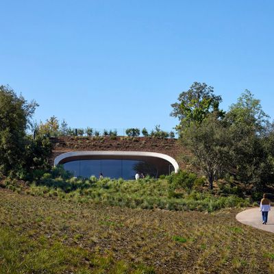 Apple Park The Observatory Outside