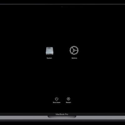 apple silicon mac startup recovery screen