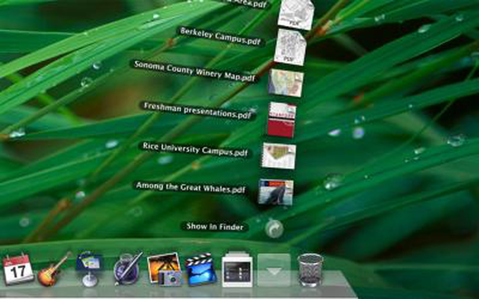 Mac OS X 10.5 Leopard: Dock 1.6 - MacRumors