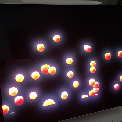 ipad pro xdr display blooming