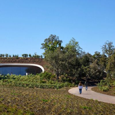 Apple Park The Observatory Outside