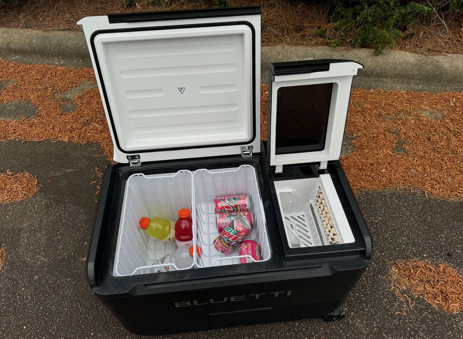 BLUETTI SwapSolar Portable MultiCooler and AC180T Power Station Review ...