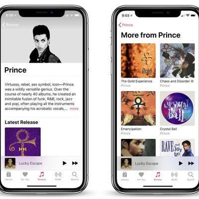 MacRumors content image