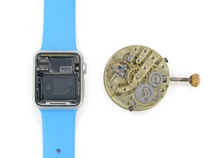 apple watch teardown image