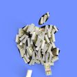 Apple Logo Cash BLUE 2