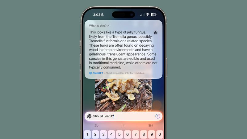Apple Considering Ads Inside Visual Intelligence, Code Suggests - MacRumors