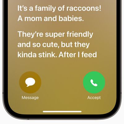 Live Voicemail iOS 17
