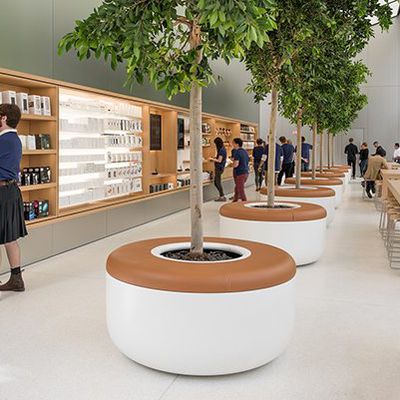 apple store new look