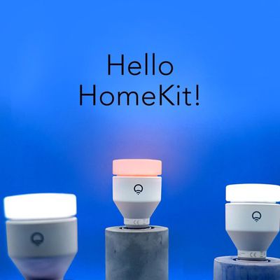 MacRumors content image