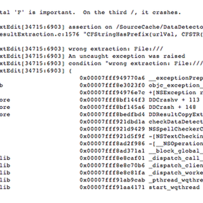 bug