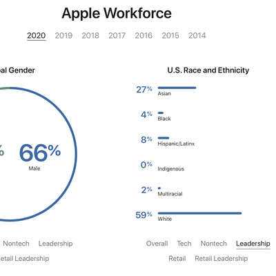 2020 diversity stats