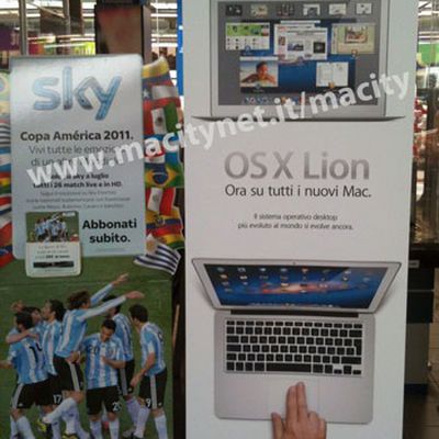 lion standing banner euronics