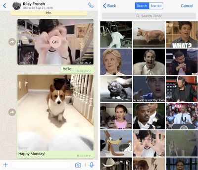 Whatsapp For Iphone Finally Supports Gifs Including Live Photos Macrumors