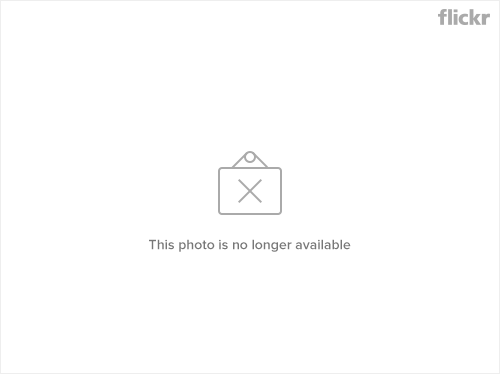 MacRumors content image
