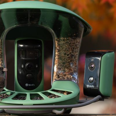 birdfy duo camera feeder