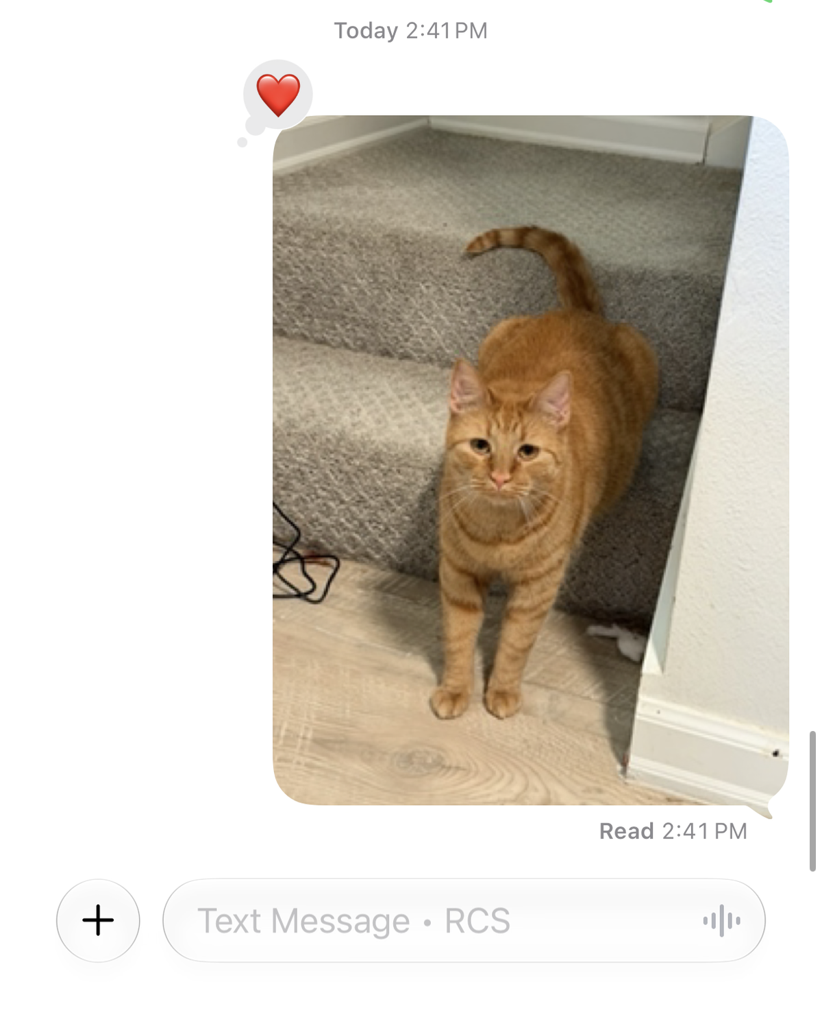 Attachment Image
