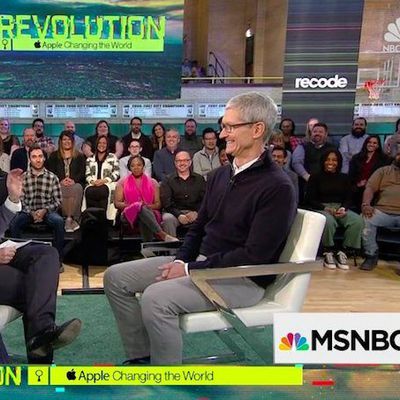 tim cook msnbc