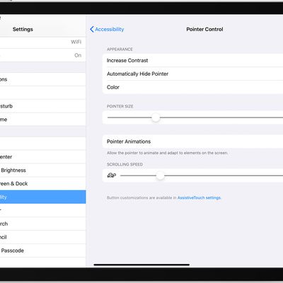 ios13 ipad pro settings accessibility pointer control customize