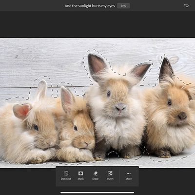 adobe photoshop refine edges