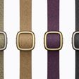 apple watch series 12 modern buckle