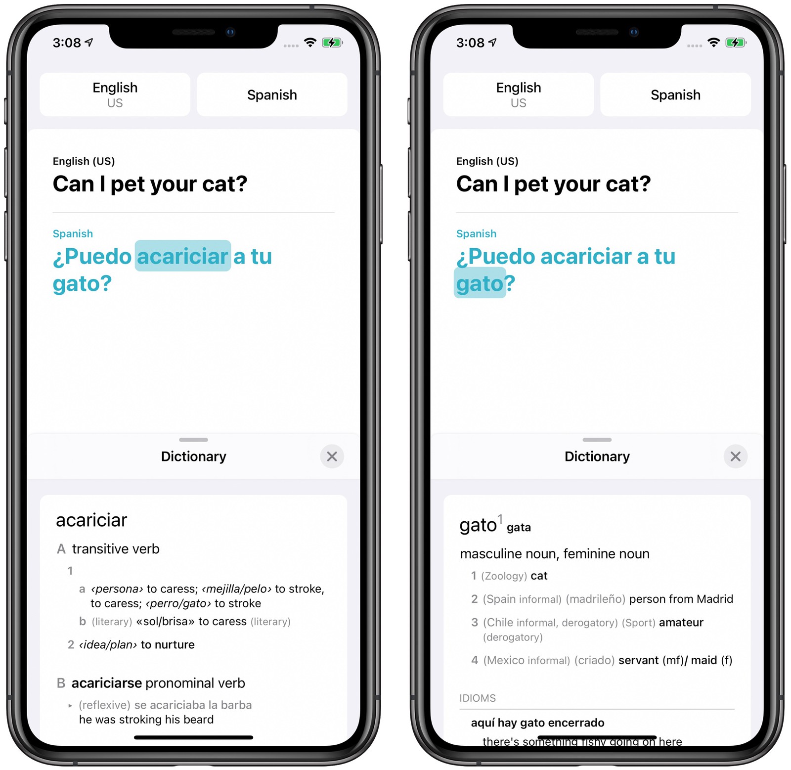 iOS 14: Apple's Built-In iPhone Translate App That Works With 11
