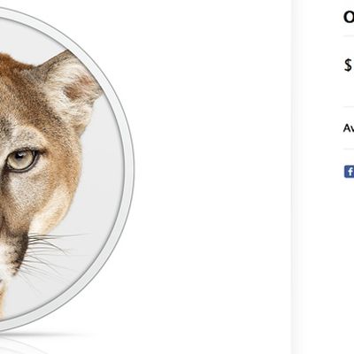mountainlion