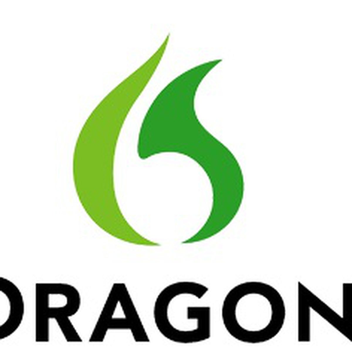 bets dragon software for mac review