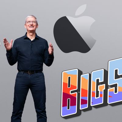 WWDC 2020 Tim Cook
