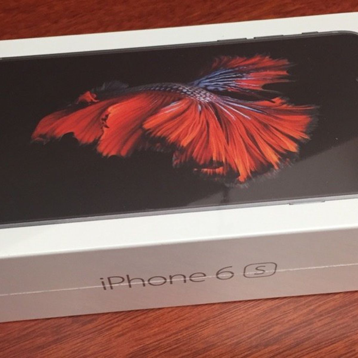 iphone6sbox-800x538.jpg