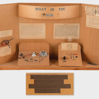 steve jobs rr auction science project