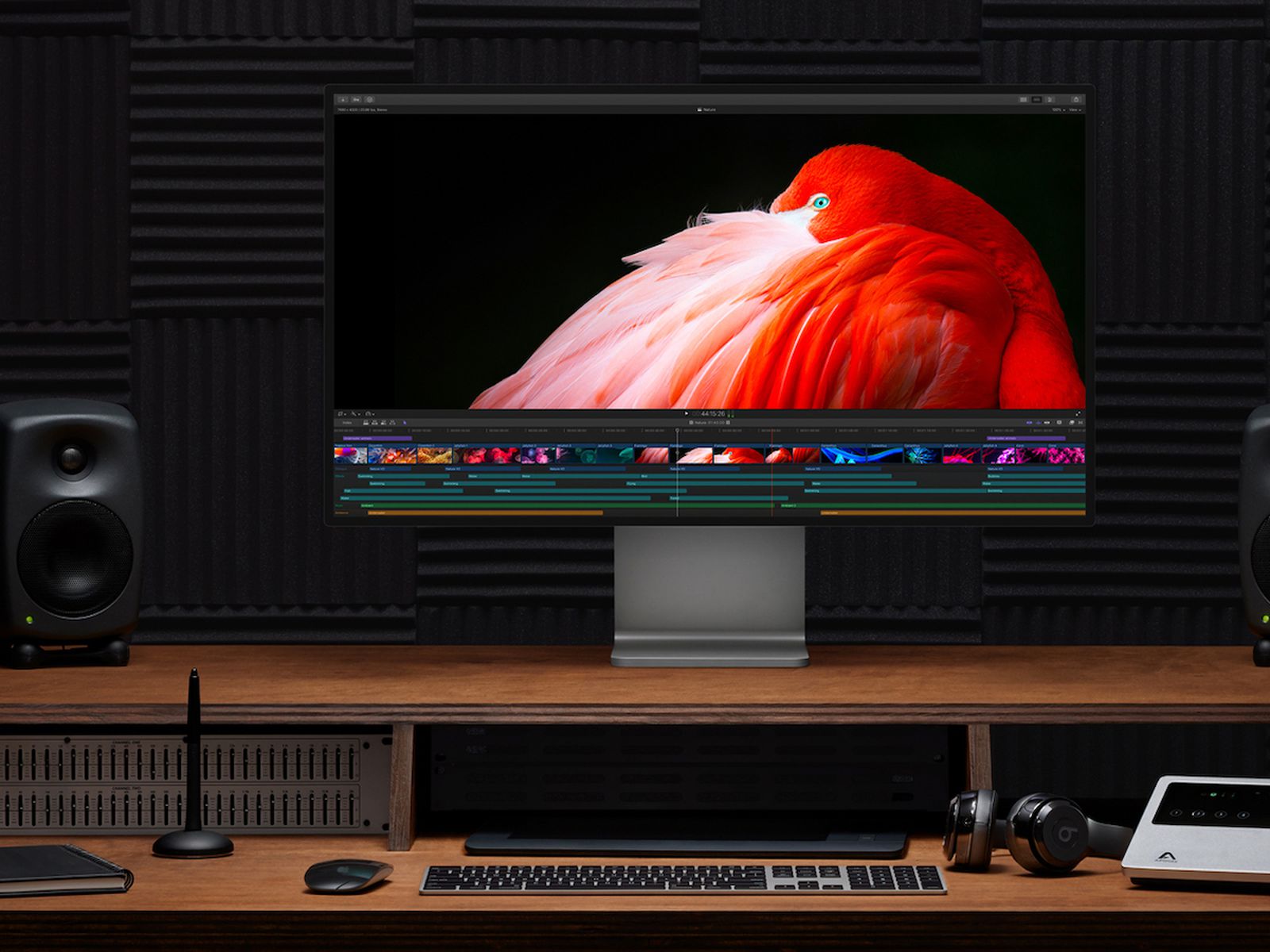 New Mac Studio and Mac Pro Support to Eight 4K Displays, Mac Pro Works These PCI Cards - MacRumors