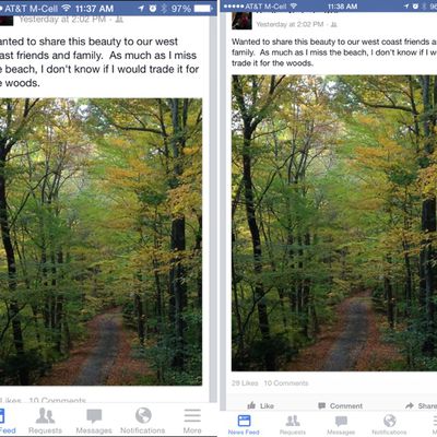 MacRumors content image