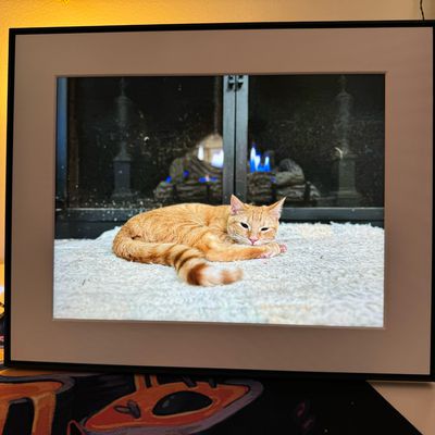 aura frame zoom
