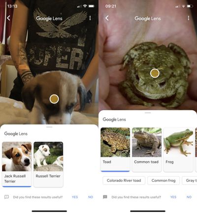 how to use google lens 5
