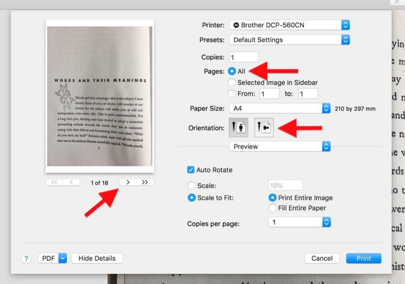 how to open a pdf in preview