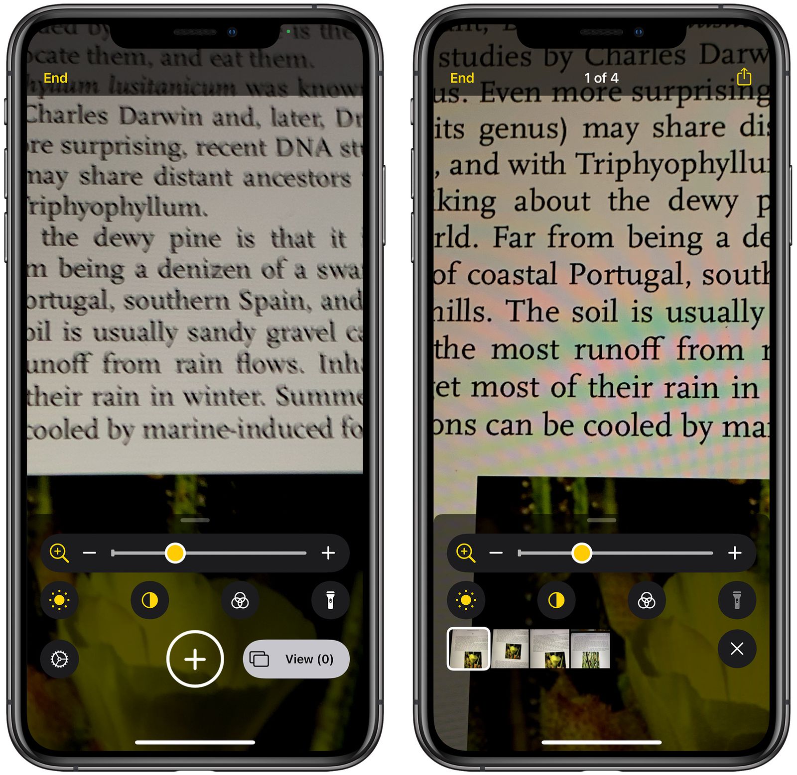 Magnifier in iOS 14 Gets Overhauled UI and New Features, Can Be Added