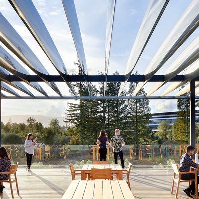 Apple Park Visitor Center Rooftop Terrace