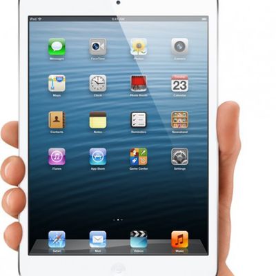 ipad mini hand