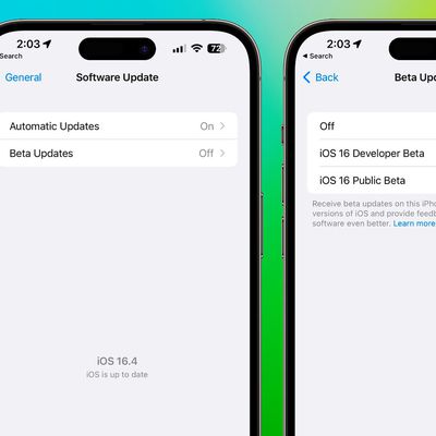 iOS 16 4 Beta Updates Menu
