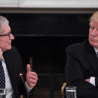tim cook trump