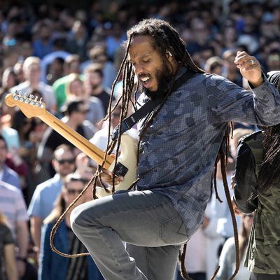 ziggy marley apple beer bash