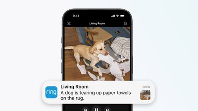 ring ai alerts 2