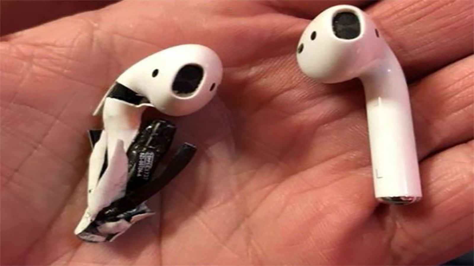 Hound Made of Barren Apple Investigating AirPods That Allegedly Caught Fire in Florida -  MacRumors