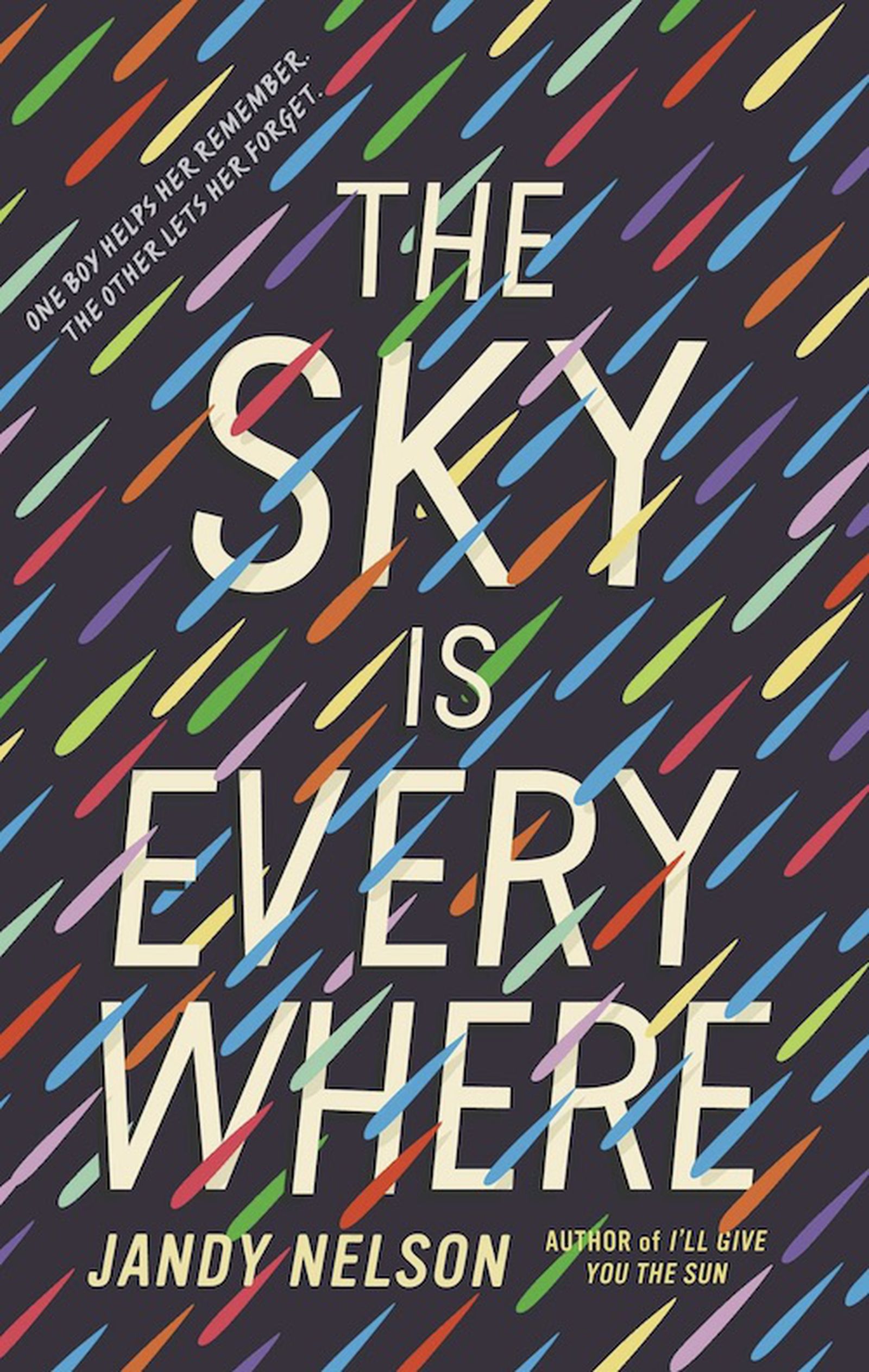the sky is everywhere by jandy nelson the sky is everywhere by jandy nelson