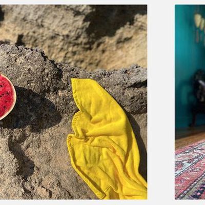 iphone 11 portrait mode