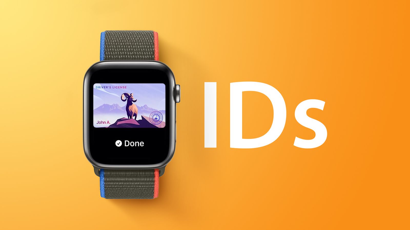 Should Your Driver's License Be on Your Apple Watch?