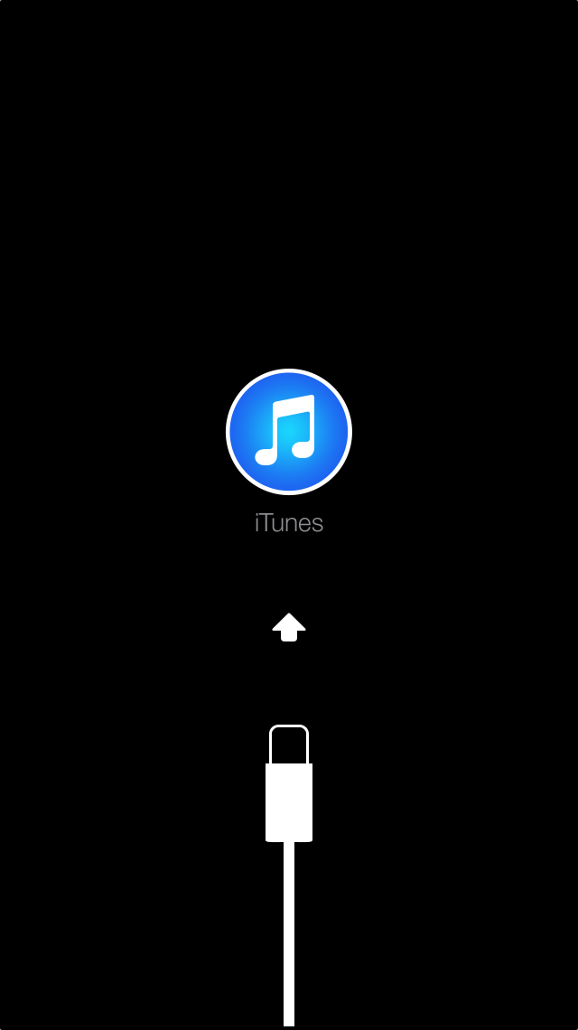 MacRumors content image