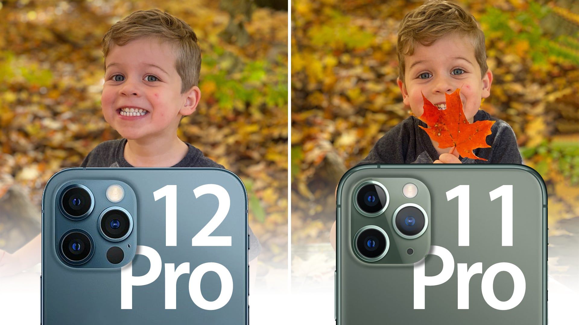 is iphone 11 pro camera better than iphone 12