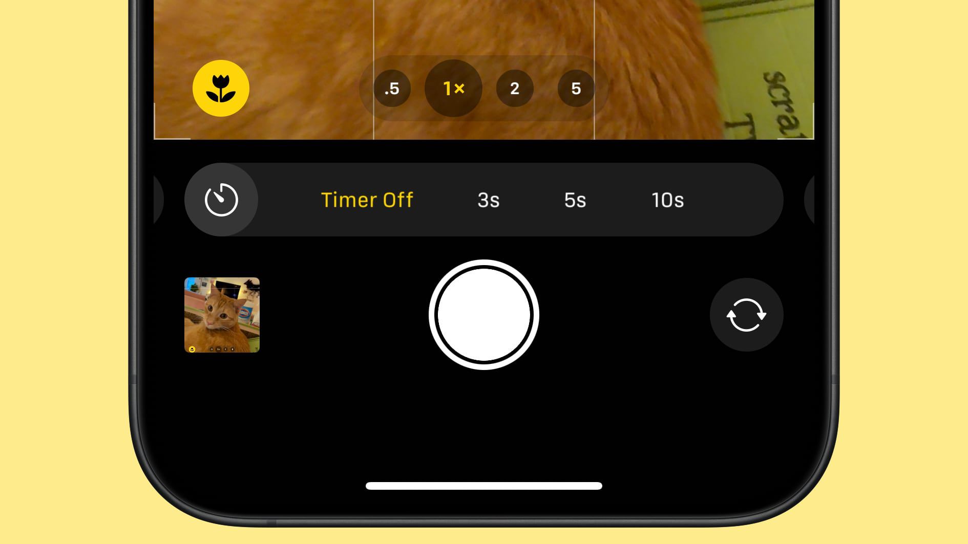 What's New With the Camera App in iOS 18 - MacRumors